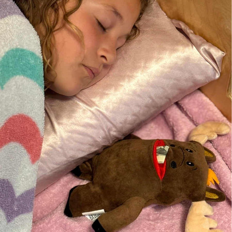 Twigs Moose Tooth Pillow